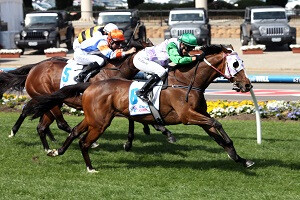 Prince Of Penzance MV Gold Cup